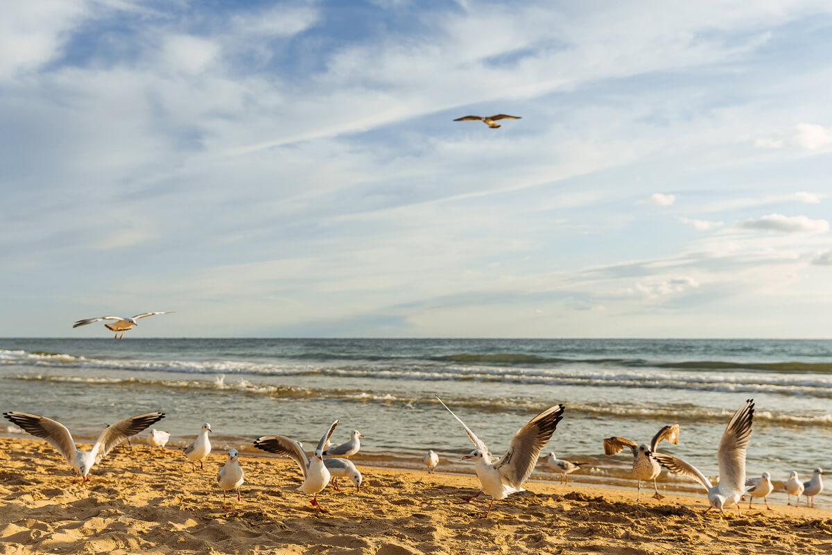 The Best Beaches in Anapa - TOP 20
